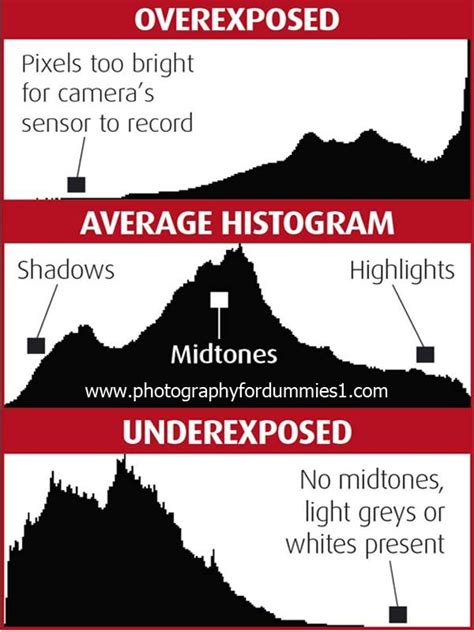 understanding the histogram | Histogram photography, Photography lessons, Photography for dummies