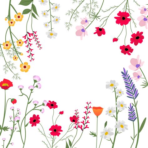 Wild Flowers Vector Illustration - Download Free Vectors, Clipart ...