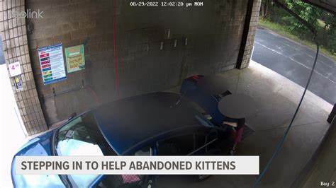 Caught on camera: Woman tosses kittens on sewer grate at Muskegon Co ...