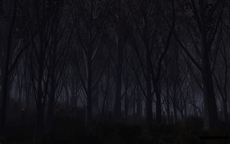 Creepy Forest Wallpaper - WallpaperSafari