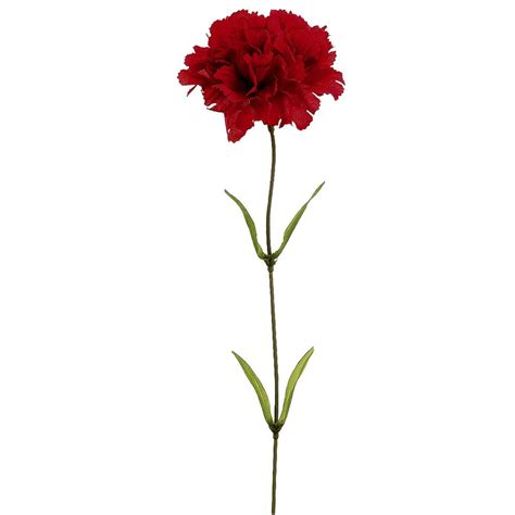 Large Carnation Stem