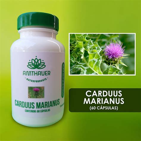 Carduus Marianus Cápsulas | amthauer natur