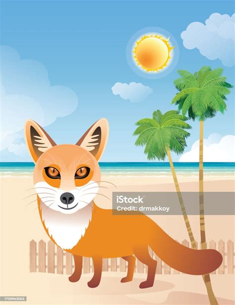 Red Fox In Desert Stock Illustration - Download Image Now - Anger ...