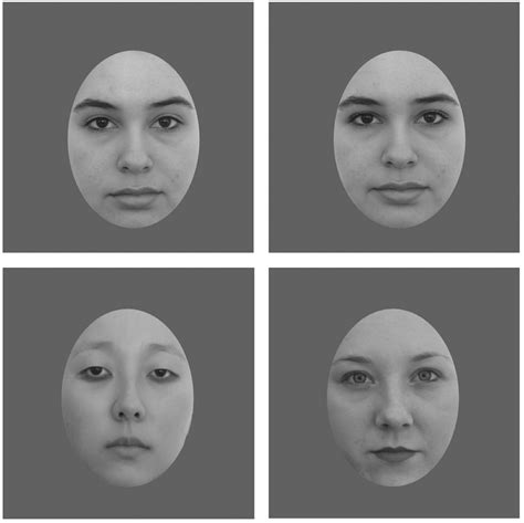 Frontiers | The Role of Regional Contrast Changes and Asymmetry in Facial Attractiveness Related ...