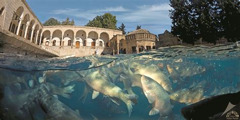 Balıklıgöl - Şanlıurfa