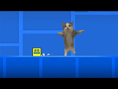 happy happy happy cat - YouTube