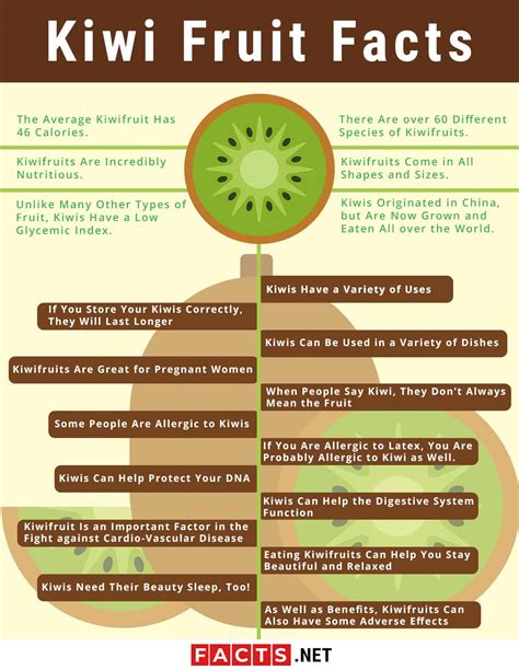 Top 20 Kiwi Fruit Facts - Types, Benefits, Calories & More - Facts.net