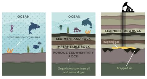 Formation & Contents of Crude Oil (GCSE Chemistry) - Study Mind