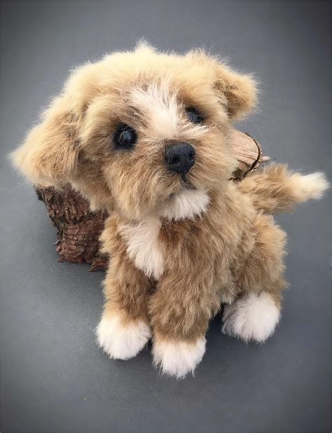 Three O'Clock Bears: Smidge the puppy available for adoption. | Teddy ...