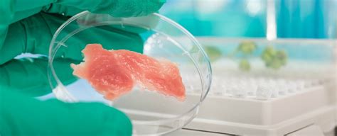 The Meat Industry Is Asking Trump to Intervene Over Lab-Grown Meat ...