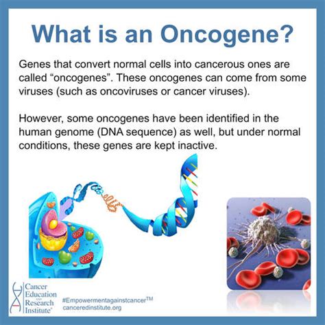 Genes and Cancer - Cancer Education and Research Institute