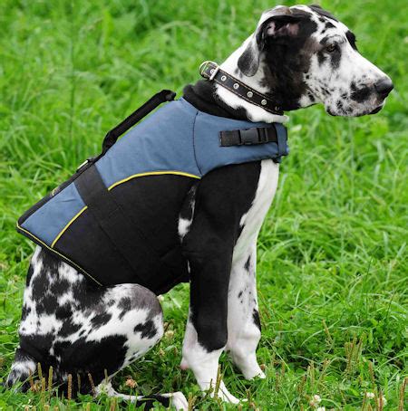 Adjustable Nylon Vest for Great Dane : Great Dane Breed: Dog Harness ...