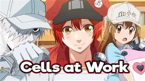 Anime Series Like Cells at Work ⋆ Anime & Manga