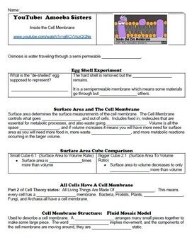 Student Handout for Amoeba Sisters: Inside the Cell Membrane | TPT