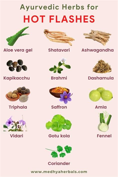 The Best Natural Remedies for Hot Flashes in Menopause