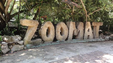 Chiapas: Zoológico Miguél Álvarez del Toro, "ZooMat". - YouTube