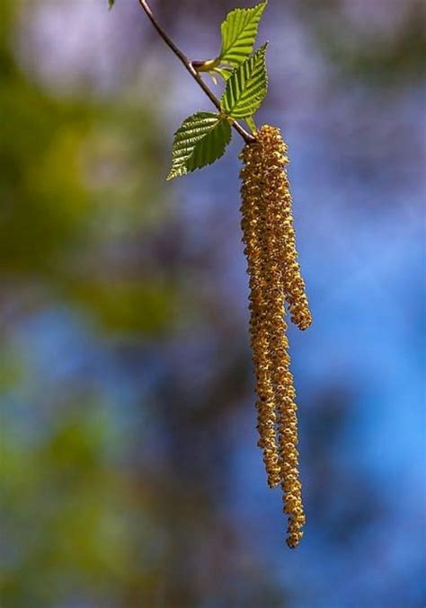 Bountiful Garden, Nature Wall Art, Animals Images, Love Images, Cascade, Art For Sale, Fine Art ...