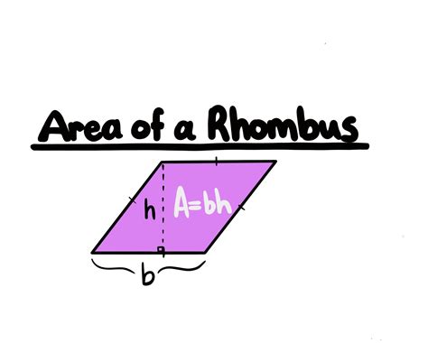 Area of a Quadrilateral - Expii