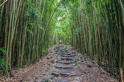 3 Great Maui Hiking Trails - Hawaii Magazine