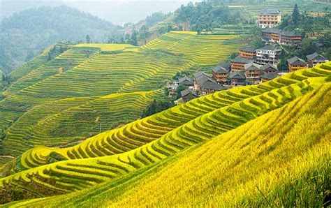 Longsheng China Stock Photos, Pictures & Royalty-Free Images - iStock