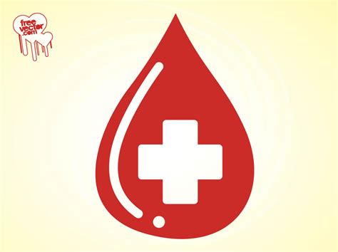 Blood Drop Vector Vector Art & Graphics | freevector.com