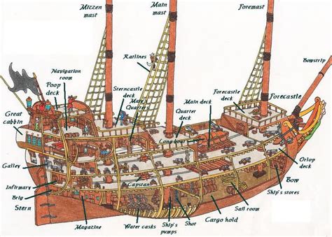 Inspiration for the Tantamount: cutaway of a ship with bonus fox ...