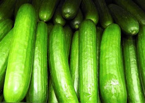 Lebanese Cucumber - Local Seeds