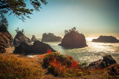 Best Hikes on the Southern Oregon Coast - Travel Southern Oregon Coast