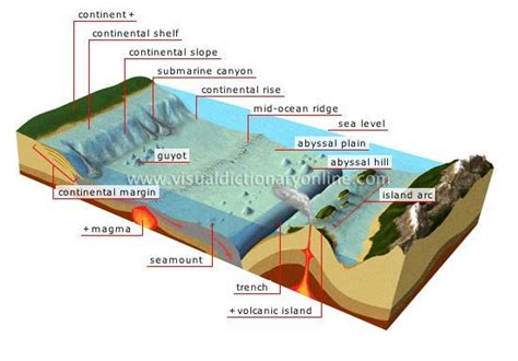 diorama ocean floor - Google Search | Earth and space science, Earth science, Geology