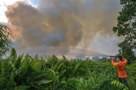 Indonesian regions brace themselves for wildfires, haze as dry season ...