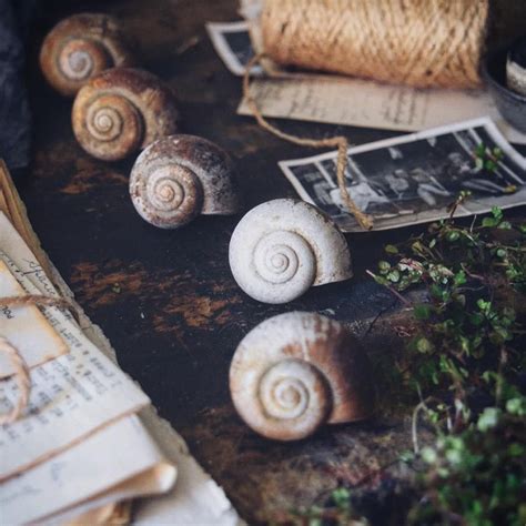 The Fibonacci sequence, I think I'm becoming obsessed!! 🐌 (With images ...