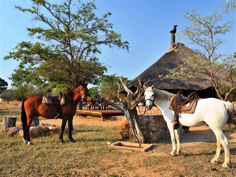 Mabula Private Game Reserve | Find Your Perfect Lodging, Self-Catering ...