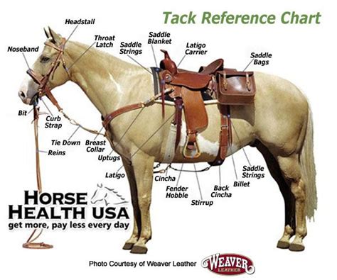 This quick reference photo indicates the proper placement of Western ...