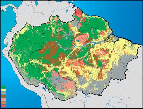 Great Rainforest or the Greatest Rainforest? | Center for International Environmental Law