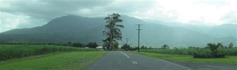 And these photos look to my left at the tallest mountain in Queensland ...