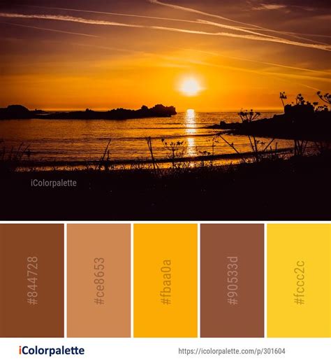 Pin on Sunrise Color Palettes