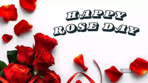 75+ Happy Rose Day Messages, Greetings, Wishes and Quotes for 2024 ...