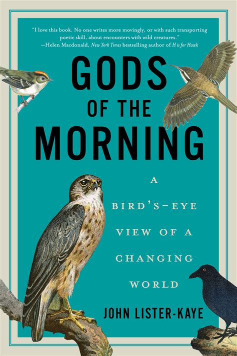 The 12 Best Bird Books of 2015 | Audubon