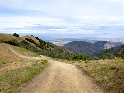 Rural Road Landscape Royalty Free Photo