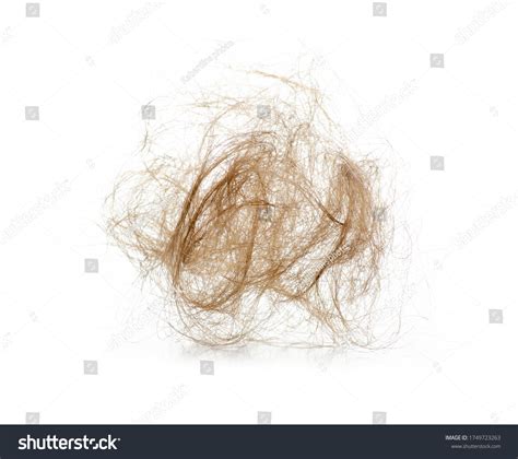 Clump Female Hair On White Background Stock Photo 1749723263 | Shutterstock