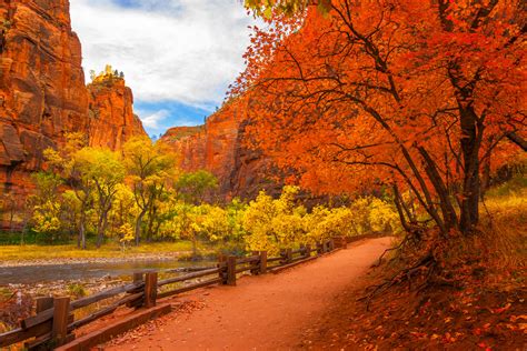 Fall Color Trail To Virgin River Zion Natl Park Photo Print | Photos by Joseph C. Filer