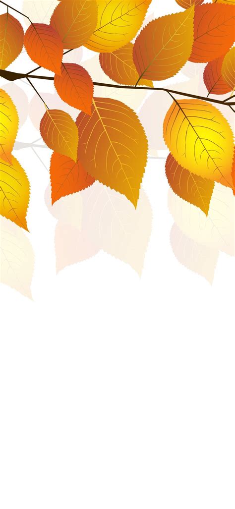 Autumn Phone Wallpaper - 061