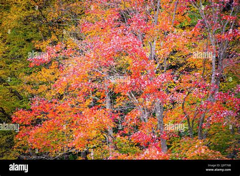 Middlebury college vermont hi-res stock photography and images - Alamy