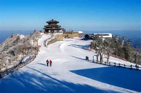 South Korea in December: Travel Tips, Weather & More | kimkim