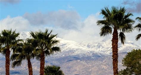 Best Places To See Snow in San Diego - San Diego Explorer