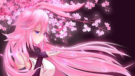 Anime, Girl, Pink Hair, Cherry Blossom, Yae Sakura, Honkai Impact 3rd ...