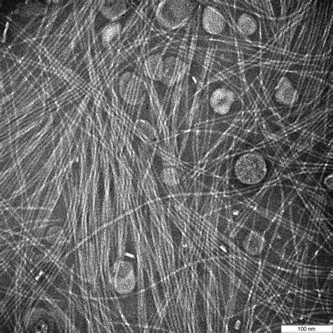 Bio-Inspired Functional Materials Lab.