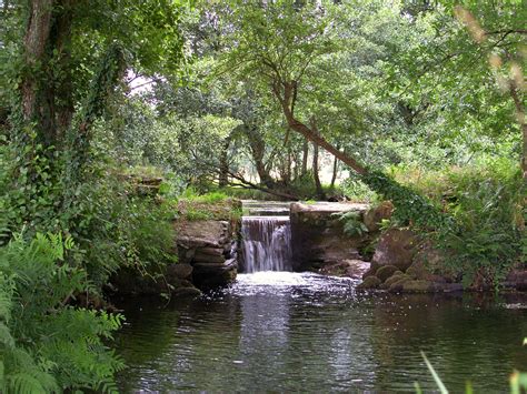 Gambar : pemandangan, pohon, sungai kecil, gurun, kolam, aliran, rimba, botani, taman, jalan air ...