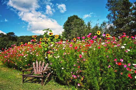 Two Men and a Little Farm: FLOWER MEADOW, INSPIRATION THURSDAY