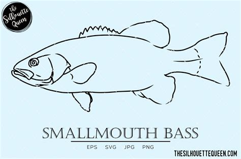 Smallmouth Bass Hand sketched, hand drawn vector clipart By The ...